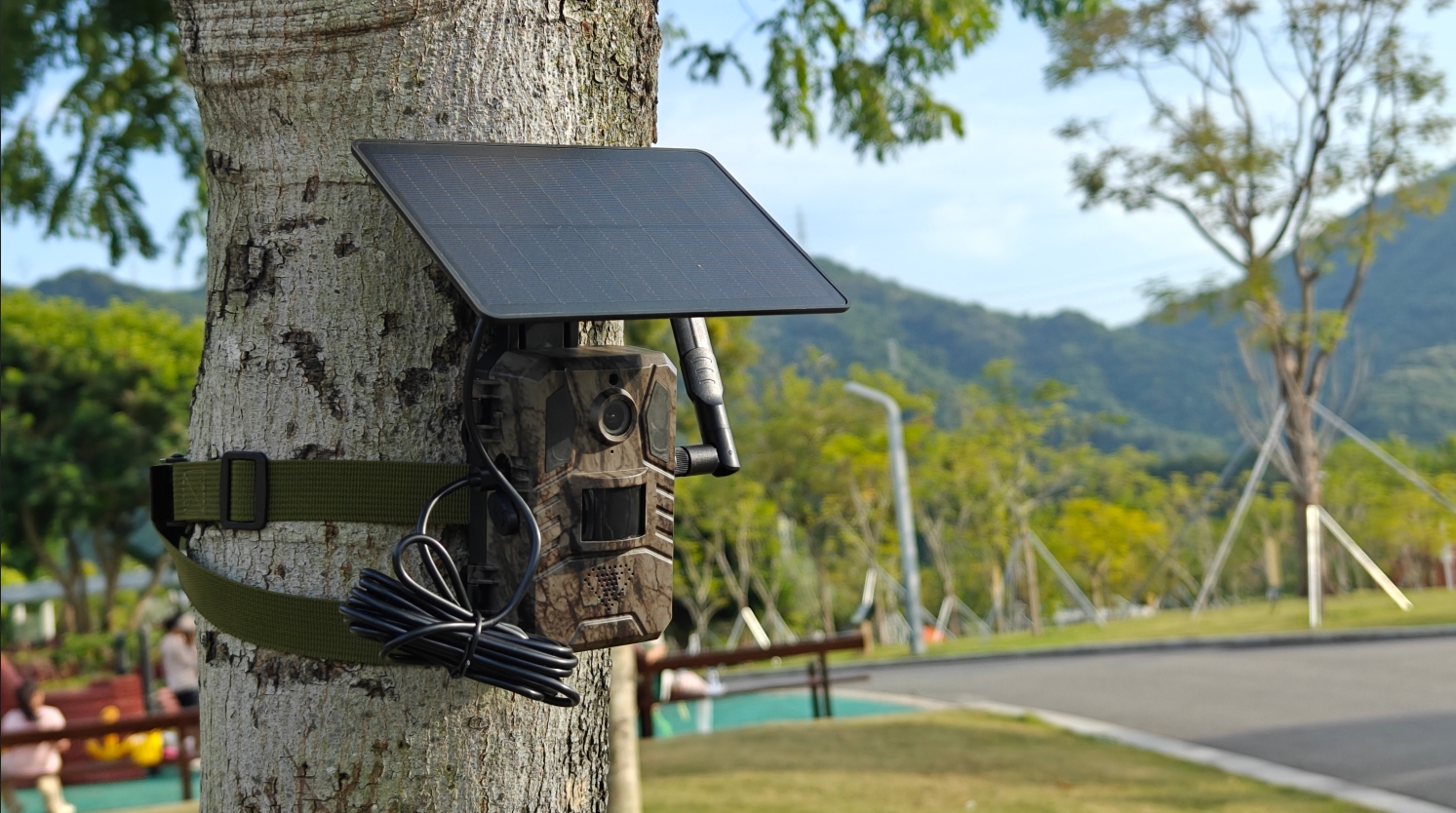 LS VISION hunting solar camera for studing animal behavior