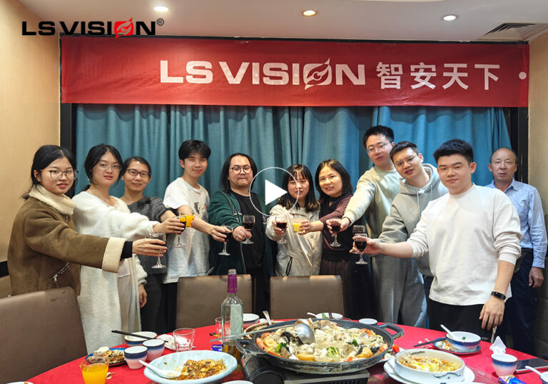 LS-VISION-2025-Year-End-Dinner-Party