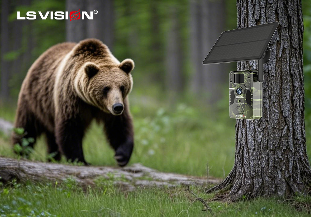 LS VISION-The solar camera LS-HM2 is applied in a nature reserve